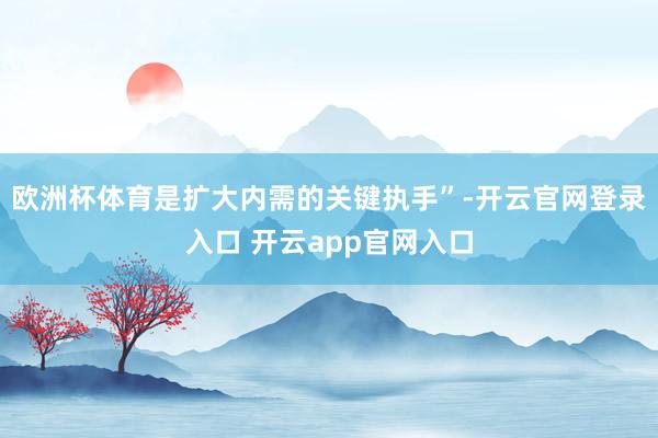 欧洲杯体育是扩大内需的关键执手”-开云官网登录入口 开云app官网入口