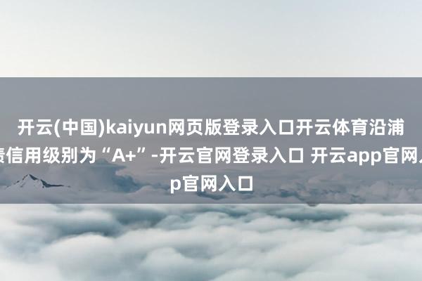 开云(中国)kaiyun网页版登录入口开云体育沿浦转债信用级别为“A+”-开云官网登录入口 开云app官网入口