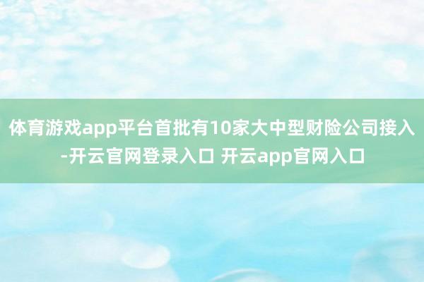 体育游戏app平台首批有10家大中型财险公司接入-开云官网登录入口 开云app官网入口