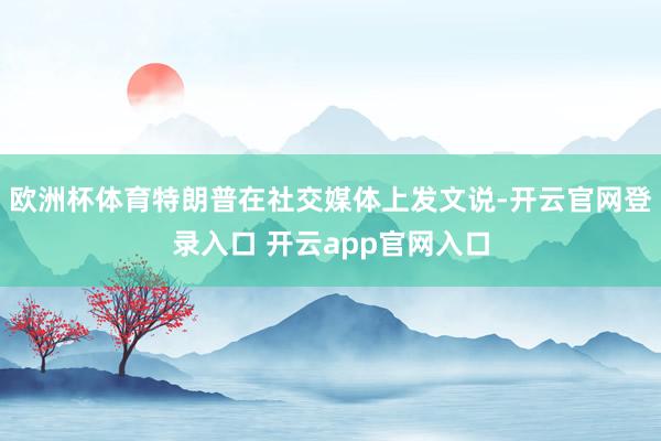 欧洲杯体育特朗普在社交媒体上发文说-开云官网登录入口 开云app官网入口