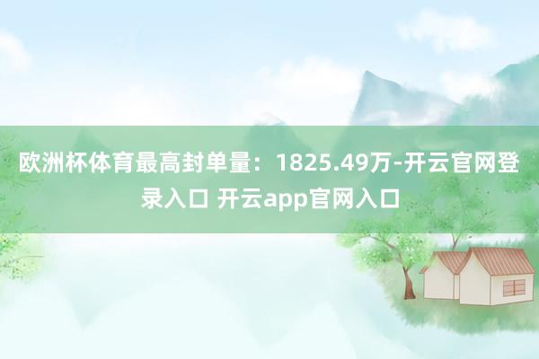 欧洲杯体育最高封单量：1825.49万-开云官网登录入口 开云app官网入口